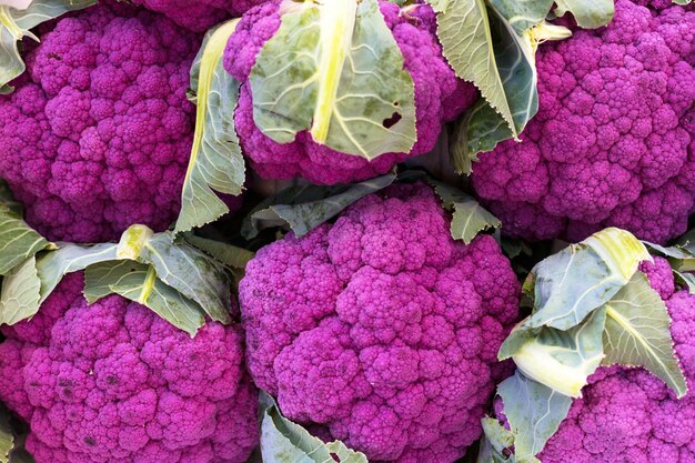 Coliflor morada