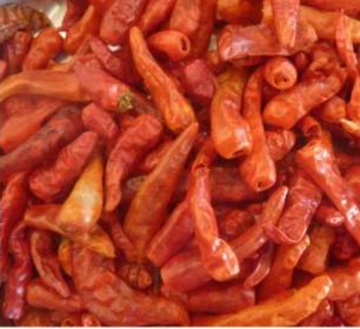 Chile criollo