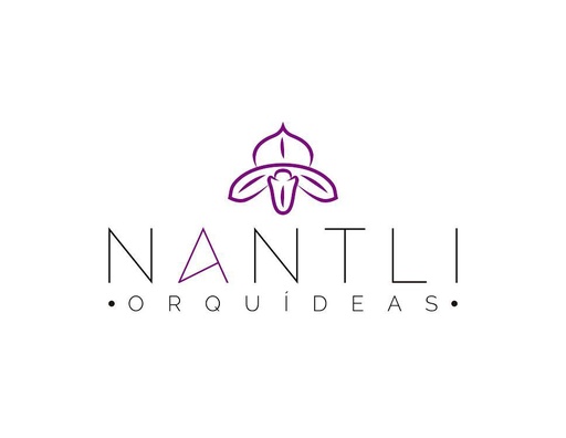 JOSE DIEGO RANGEL RAMOS