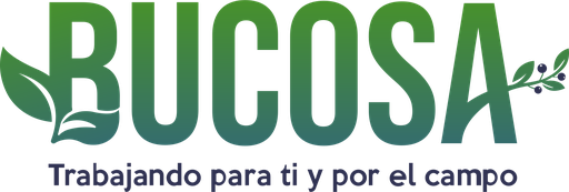 Bucosa